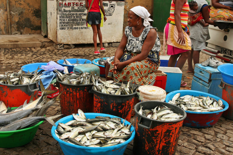 El papel de Cabo Verde en el fomento de políticas públicas desde el ámbito local para la promoción del desarrollo económico priorizando los ODS